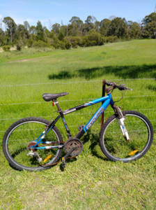 giant ac3 mountain bike